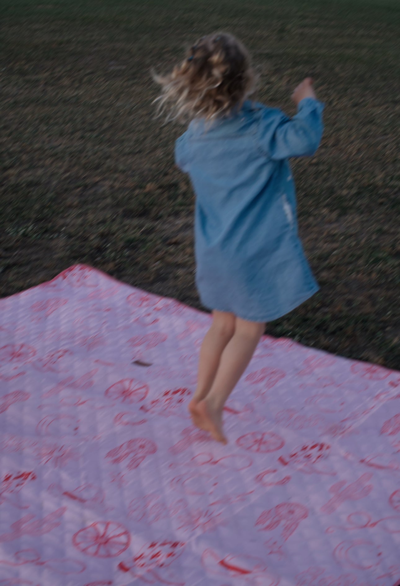 Phoenix picnic mat